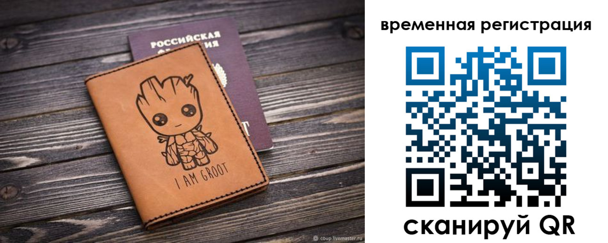 купить прописку в Мурманской области